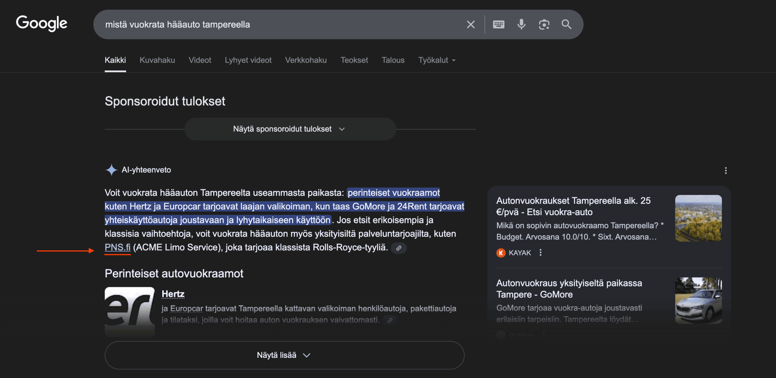 PNS profiili AI-yhteenveto
